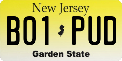 NJ license plate B01PUD