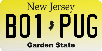 NJ license plate B01PUG