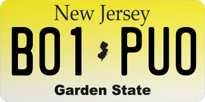 NJ license plate B01PUO
