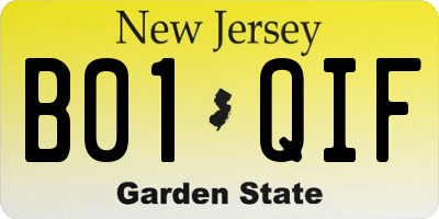 NJ license plate B01QIF