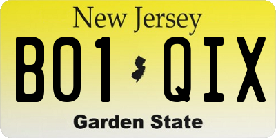 NJ license plate B01QIX