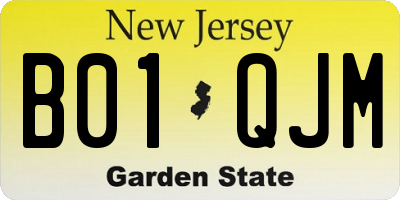 NJ license plate B01QJM