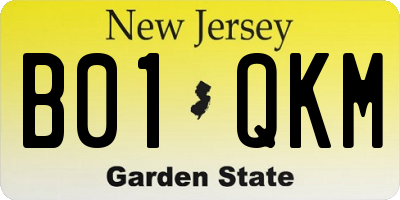 NJ license plate B01QKM