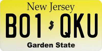 NJ license plate B01QKU