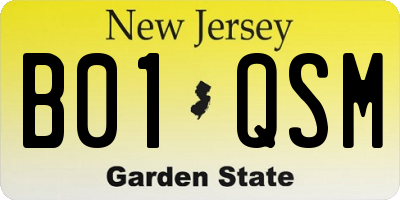 NJ license plate B01QSM