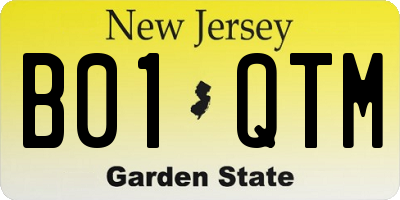 NJ license plate B01QTM
