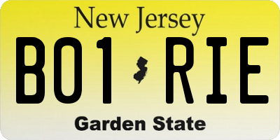 NJ license plate B01RIE