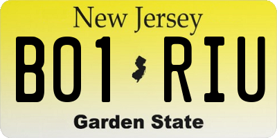 NJ license plate B01RIU