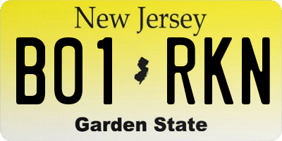 NJ license plate B01RKN