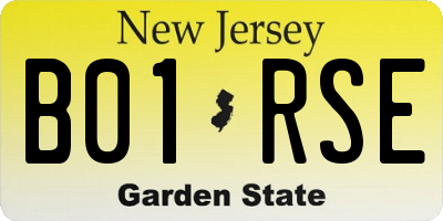NJ license plate B01RSE