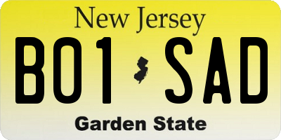 NJ license plate B01SAD