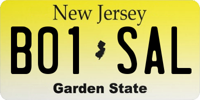 NJ license plate B01SAL