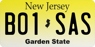NJ license plate B01SAS