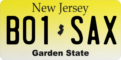 NJ license plate B01SAX