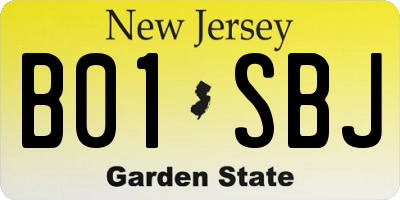 NJ license plate B01SBJ