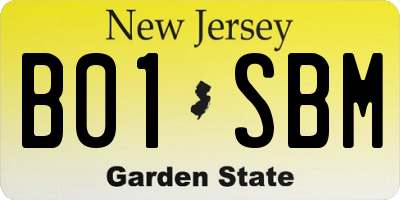 NJ license plate B01SBM