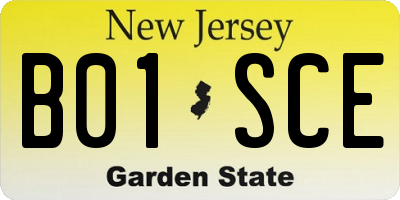 NJ license plate B01SCE