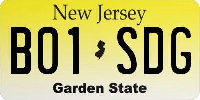 NJ license plate B01SDG