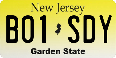 NJ license plate B01SDY
