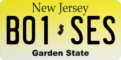 NJ license plate B01SES