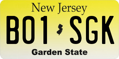 NJ license plate B01SGK