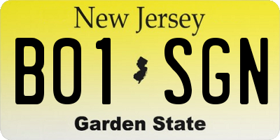 NJ license plate B01SGN