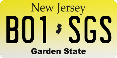 NJ license plate B01SGS