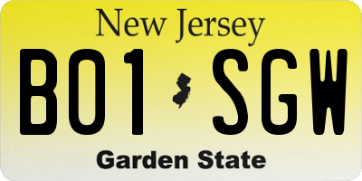 NJ license plate B01SGW