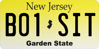 NJ license plate B01SIT