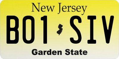 NJ license plate B01SIV