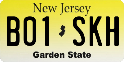 NJ license plate B01SKH