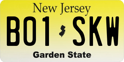 NJ license plate B01SKW