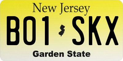NJ license plate B01SKX