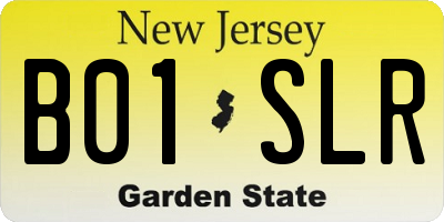NJ license plate B01SLR