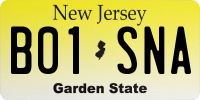 NJ license plate B01SNA