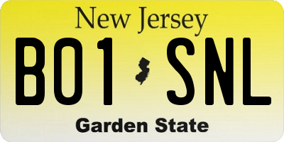 NJ license plate B01SNL