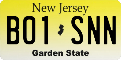 NJ license plate B01SNN