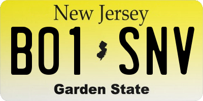 NJ license plate B01SNV