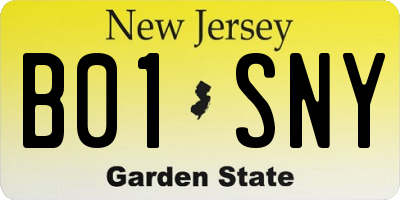 NJ license plate B01SNY