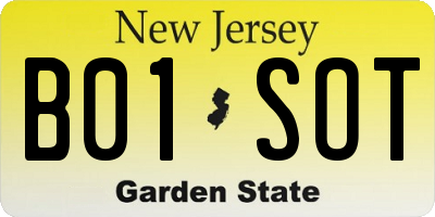 NJ license plate B01SOT