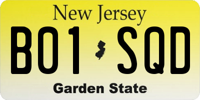 NJ license plate B01SQD