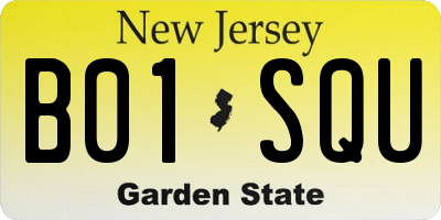 NJ license plate B01SQU