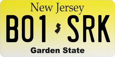 NJ license plate B01SRK