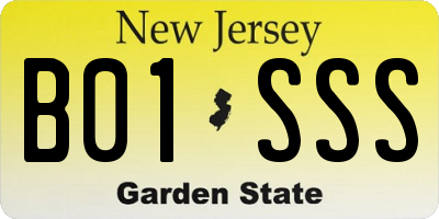 NJ license plate B01SSS