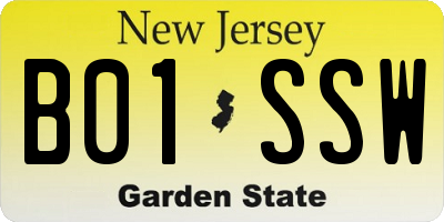 NJ license plate B01SSW