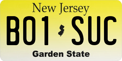 NJ license plate B01SUC