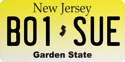 NJ license plate B01SUE