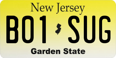 NJ license plate B01SUG