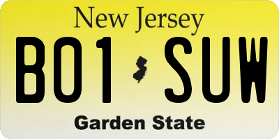 NJ license plate B01SUW