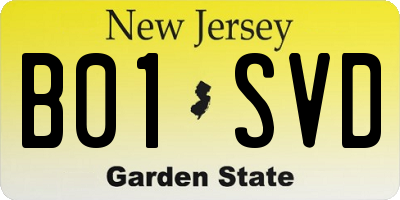 NJ license plate B01SVD